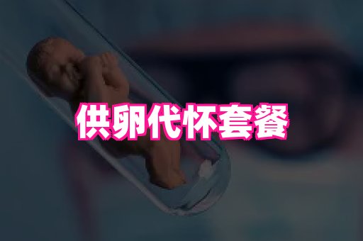 swisee孕网 3